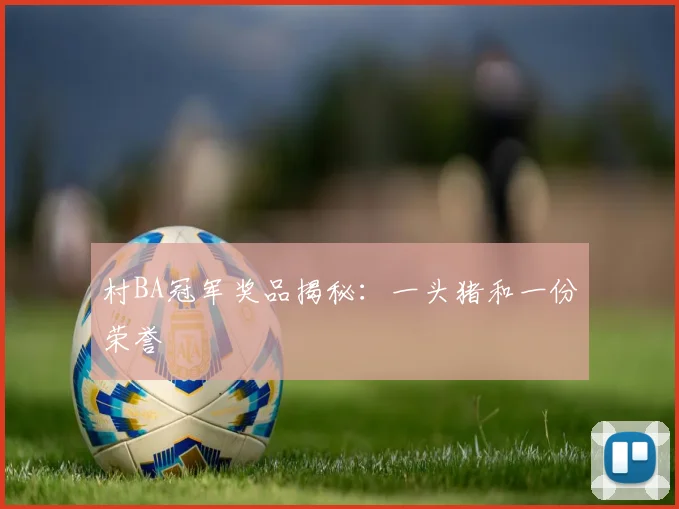 村BA冠军奖品揭秘:一头猪和一份荣誉