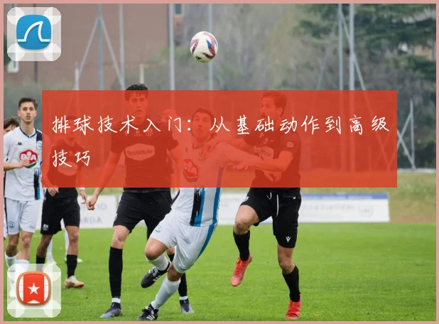排球技术入门:从基础动作到高级技巧
