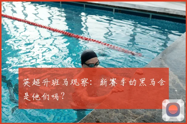 英超升班马观察:新赛季的黑马会是他们吗?