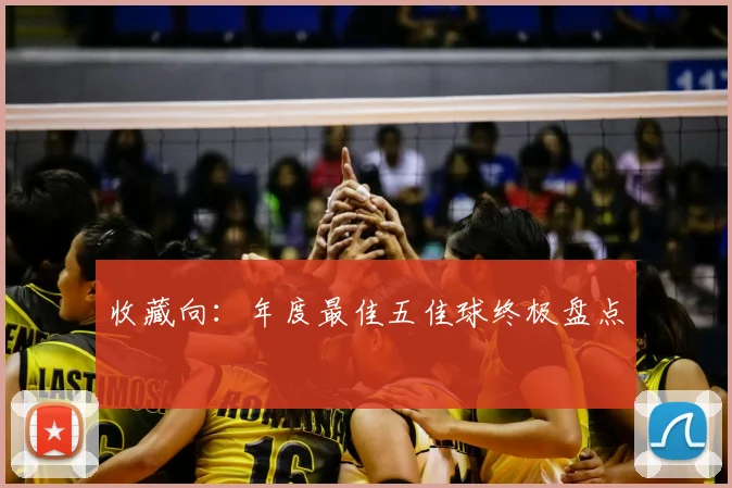 收藏向:年度最佳五佳球终极盘点
