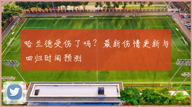 哈兰德受伤了吗？最新伤情更新与回归时间预测