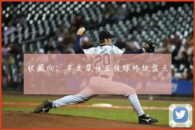 收藏向:年度最佳五佳球终极盘点